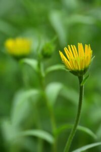 biyouにおける最新のトレンドとおすすめのケア方法は？