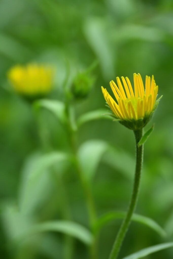 biyouにおける最新のトレンドとおすすめのケア方法は？