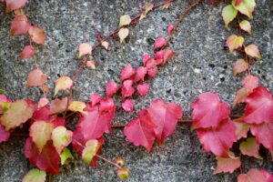 シミ治療を美容皮膚科級に行うためのセルフケア方法は？