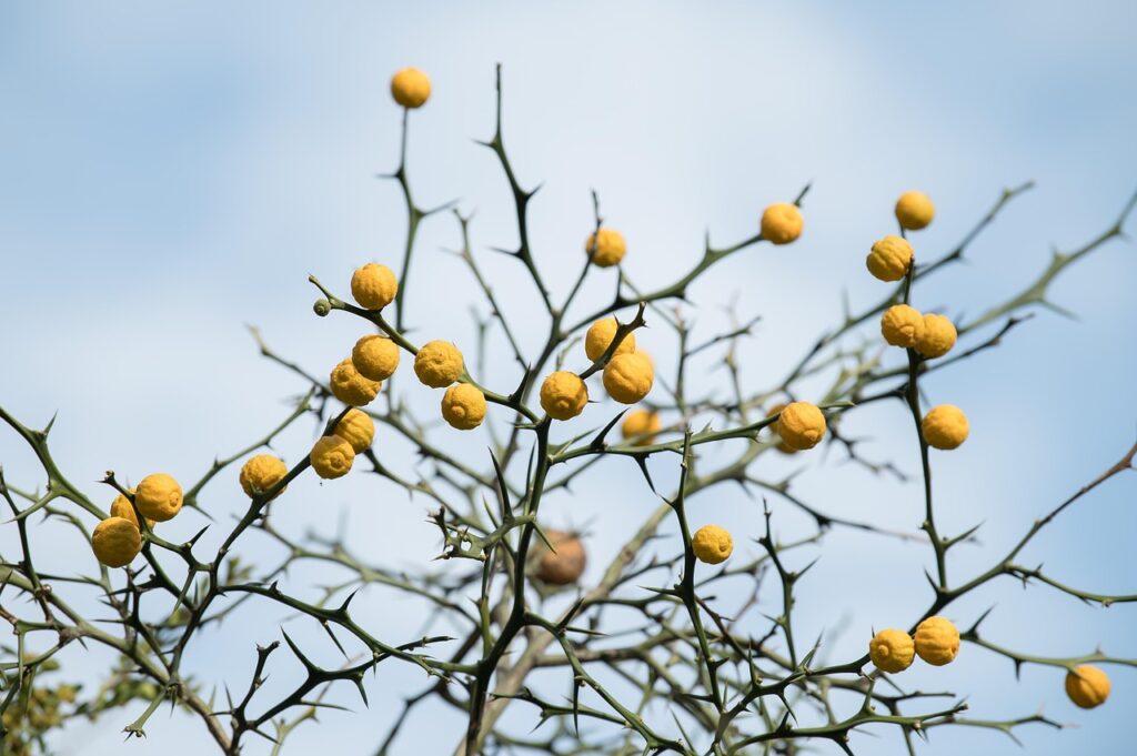 ジャルプロスーパーハイドロの効果に関する口コミは？