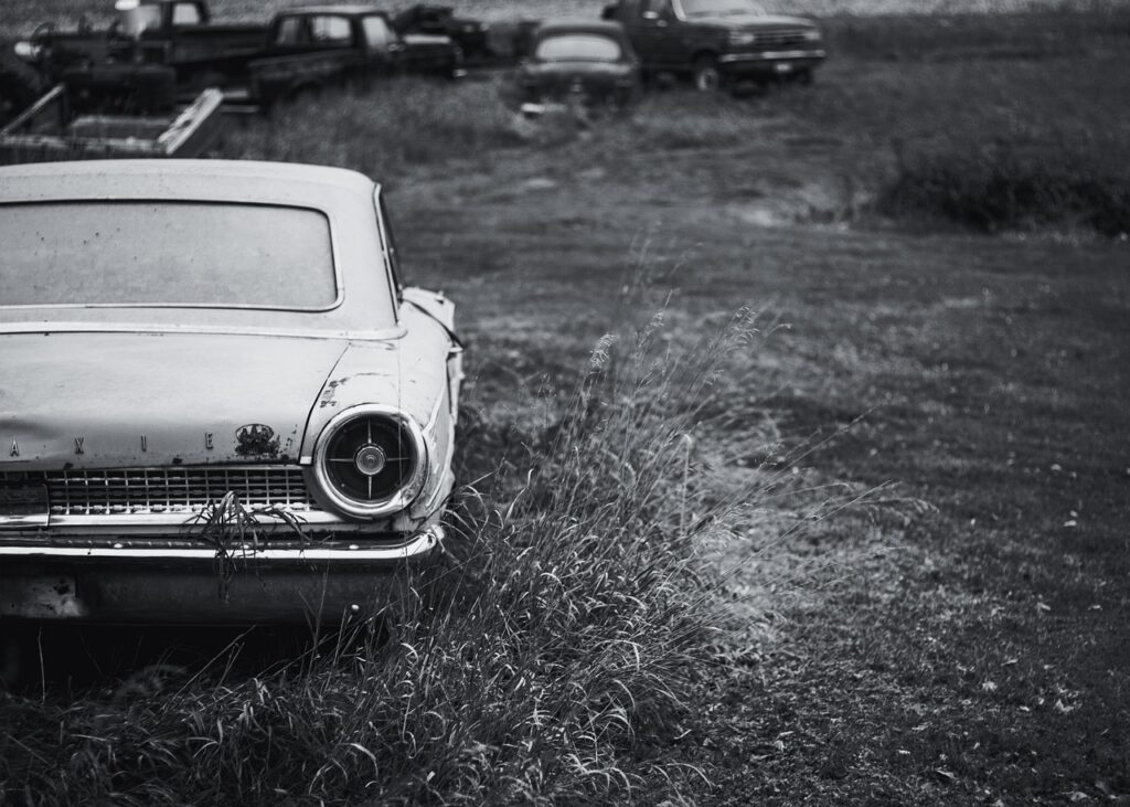 家庭用エレクトロポレーションの効果はどれくらい期待できる？