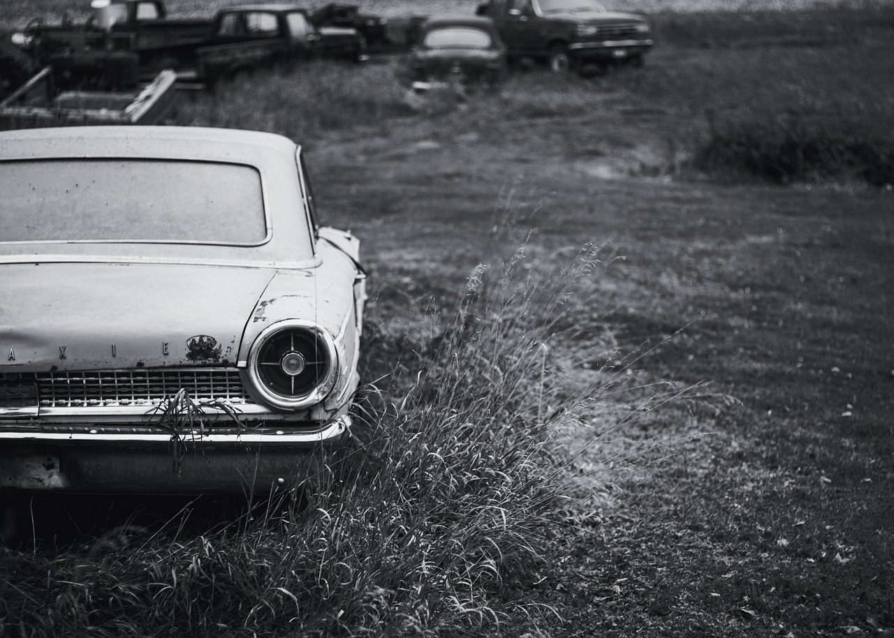 家庭用エレクトロポレーションの効果はどれくらい期待できる？