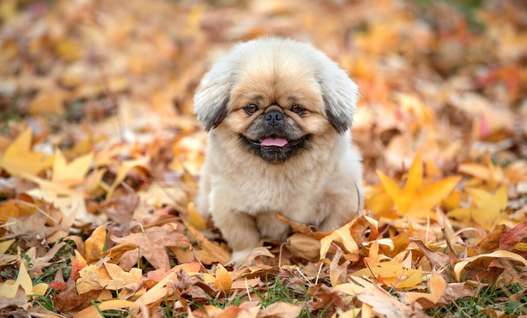 ドクターズコスメの効果なしの原因とは何ですか？