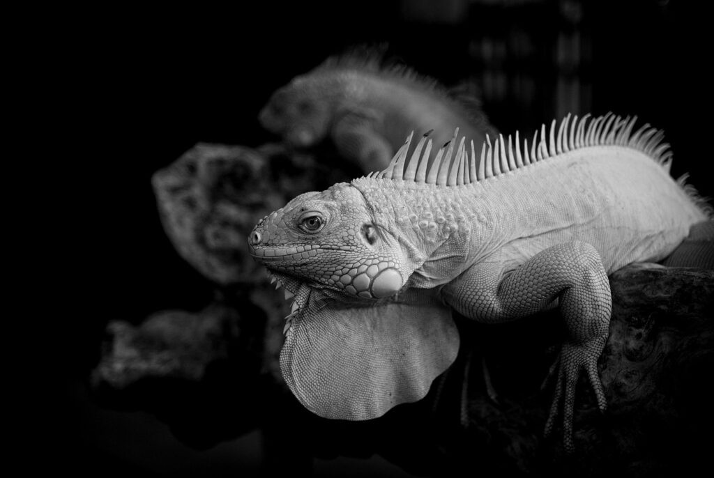 ドクターズコスメをクリニックで購入する方法は？