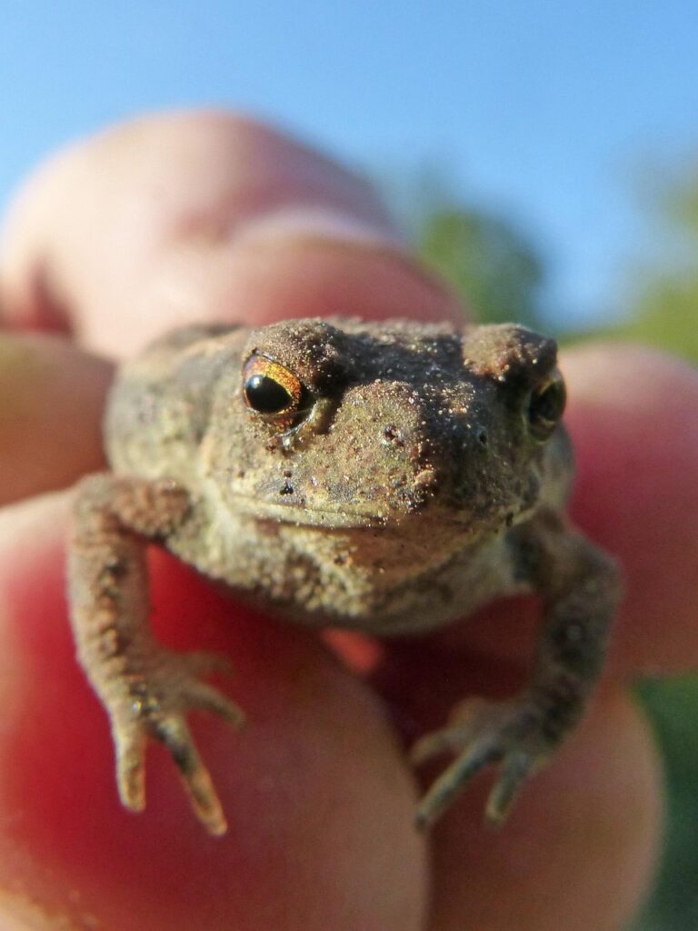 繰り返す肌荒れを自宅で改善する方法は？