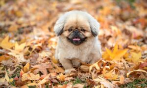 美肌には保湿が最優先な理由とは？