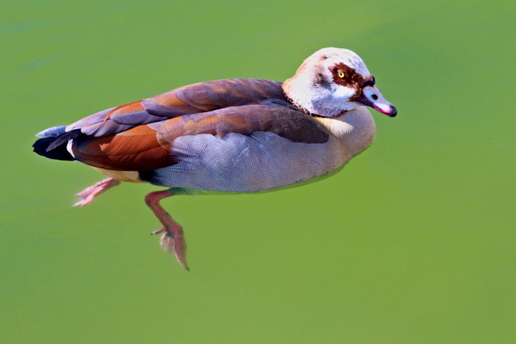 スチーマーを使うと毛穴が開く心配は本当にあるの？