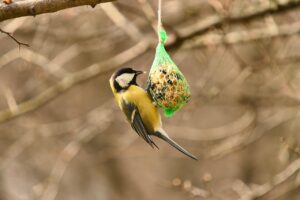 皮脂コントロールを自宅で簡単に行う方法は？