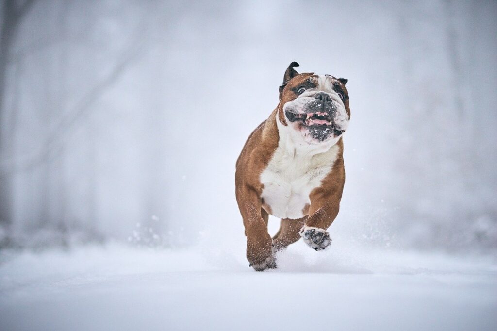 美白美容液の医療レベル成分を比較するポイントは？