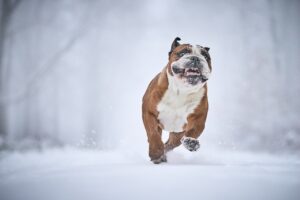 美白美容液の医療レベル成分を比較するポイントは？