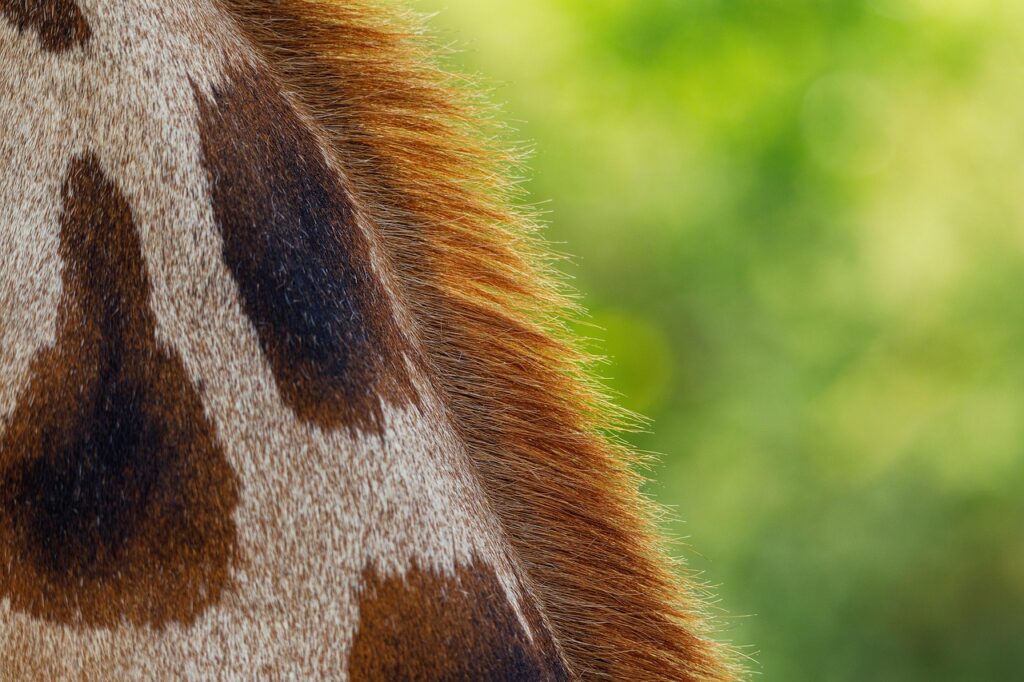 肌の土台を強くするための自宅ケア方法は？