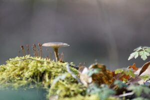 毛穴開きを自宅で引き締める方法は？