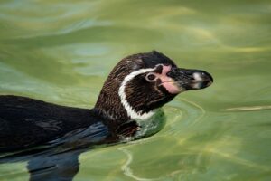 ピーリング後の自宅ケアで注意すべきポイントは？