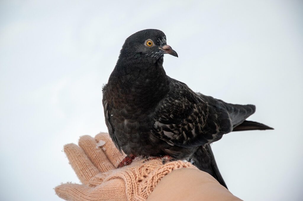 ホームケアで美肌を実感するための選び方は？