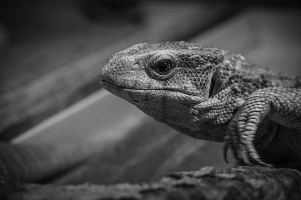 美肌ケアを習慣化する方法は？